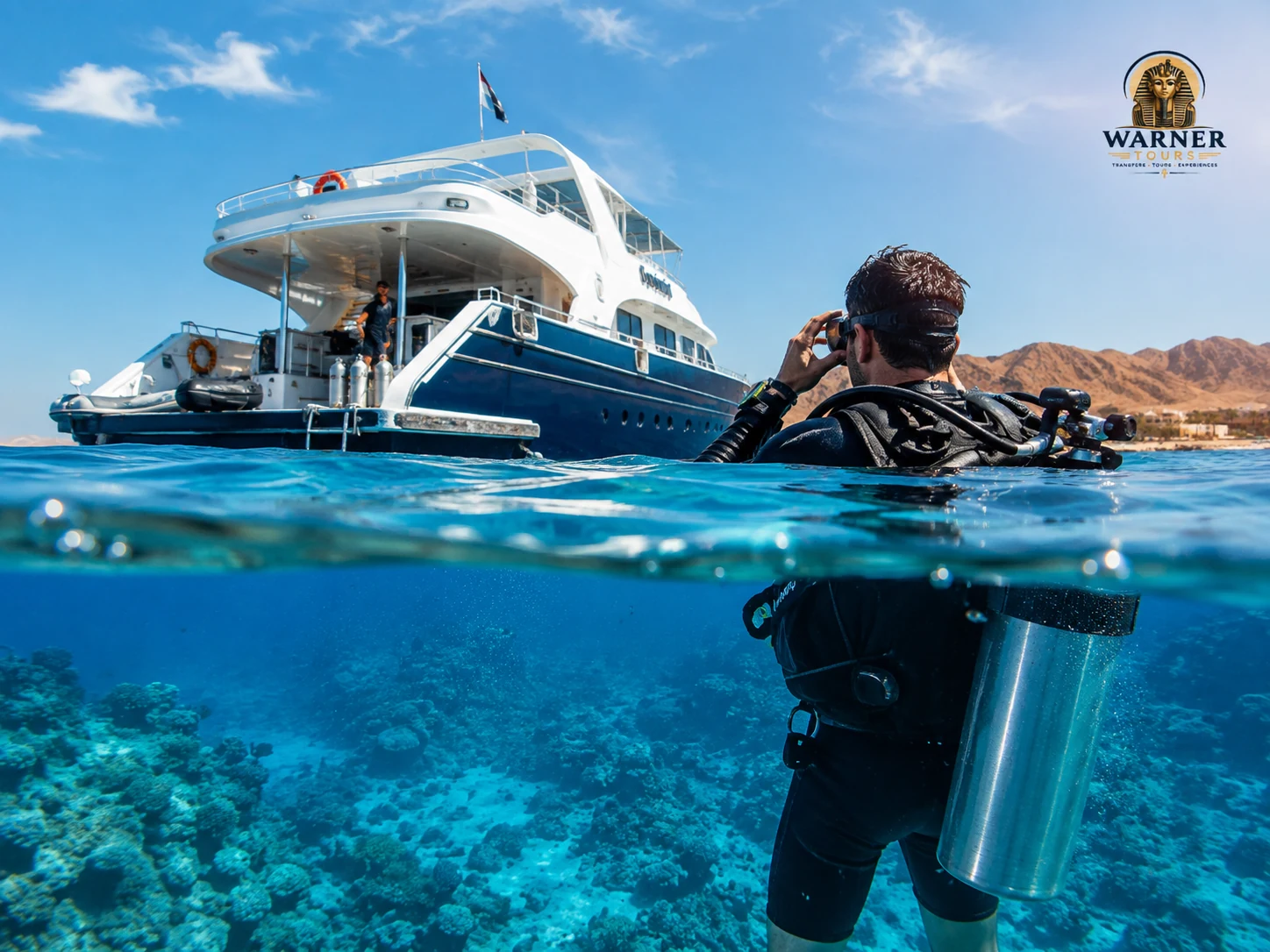 VIP Diving & Dolphin Adventure — Hurghada & The Red Sea